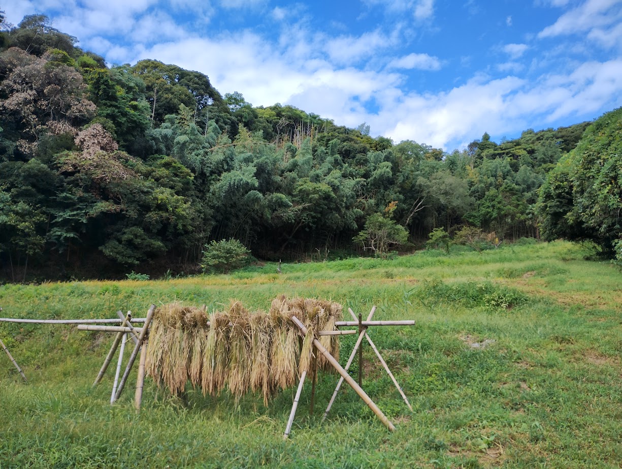 自然総有論―入山権思想と近郊里山保全を中心とする 里山とは - 新治里山公園 にいはる里山交流センター